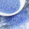 MIYUKI Round Rocailles Beads X-SEED-G007-RR0299-1