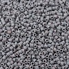 MIYUKI Delica Beads SEED-X0054-DB0882-2