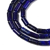 Natural Lapis Lazuli Beads Strands G-U013-A01-01-4