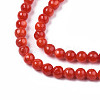 Natural Freshwater Shell Beads Strands X-SHEL-N003-24-B05-3