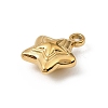 304 Stainless Steel Charms STAS-F327-03C-G-2
