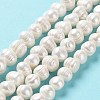 Natural Cultured Freshwater Pearl Beads Strands PEAR-E019-06-2
