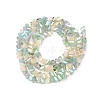 Electroplate Glass Beads Strands GLAA-T023-A17-03-2