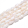 Natural Cultured Freshwater Pearl Beads Strands PEAR-N014-04H-2