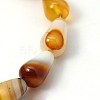 Natural Agate Beads Strands X-G-G319-8x16mm-01-2