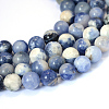 Natural Sodalite Round Bead Strands G-E334-8mm-08-1