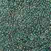 MIYUKI Round Rocailles Beads SEED-X0055-RR0277-4