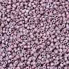 MIYUKI Delica Beads Small X-SEED-J020-DBS0379-3