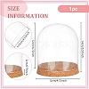 Glass Dome Cover DIY-WH0430-621C-2