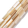 Natural Trochid Shell/Trochus Shell Beads Strands SSHEL-S266-020B-01-1