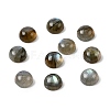 Natural Labradorite Cabochons G-D804-02-2