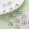 Transparent Acrylic Beads TACR-S152-11A-06-6
