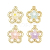 Alloy & Resin Pendants RE-CBA1FD3-13G-1