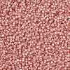 MIYUKI Round Rocailles Beads SEED-X0055-RR0642-2
