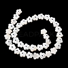 Natural Freshwater Shell Beads Strands SHEL-A006-03E-2