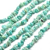 Natural Amazonite Chip Beads Strands X-G-M205-64A-1