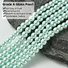 Eco-Friendly Dyed Glass Pearl Beads Strands HY-A008-6mm-RB043-3