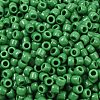 TOHO 6/0 Round Beads X-SEED-TR06-0047D-3