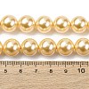 Electroplated Shell Pearl Beads Strands BSHE-G041-12mm-01-4