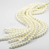 Natural Giant Clam Shell Round Bead Strands X-GSHE-J002-AAA-12mm-1