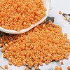 Baking Paint Glass Seed Beads SEED-S042-05A-30-1