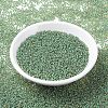 MIYUKI Round Rocailles Beads SEED-X0054-RR0374-2