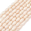 Natural Cultured Freshwater Pearl Beads Strands PEAR-D003-01D-16-2