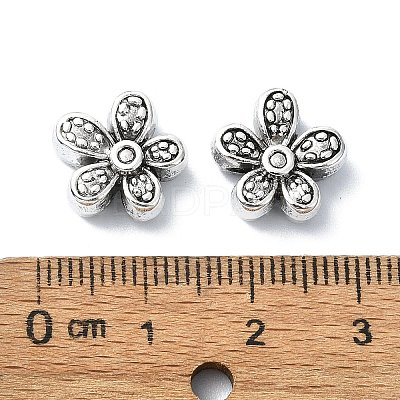Tibetan Style Alloy Beads X-TIBEB-F065-01AS-01-1