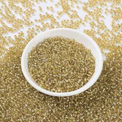 MIYUKI Round Rocailles Beads X-SEED-G008-RR0003-1