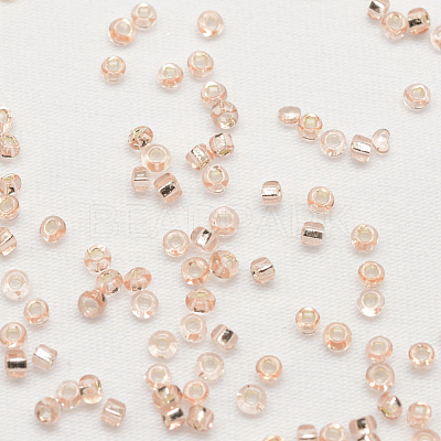 8/0 Round Glass Seed Beads SEED-J018-F8-72-1