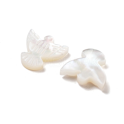 Natural Shell Beads BSHE-H017-02-1