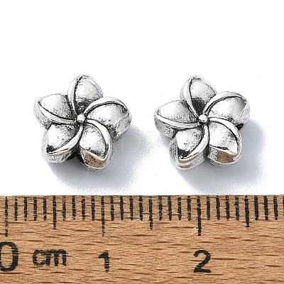 Tibetan Style Alloy Beads TIBEB-F065-01AS-02-1