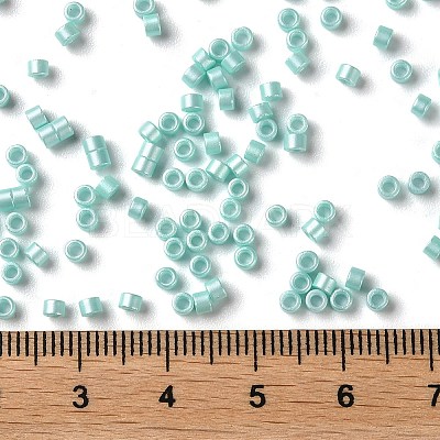 Baking Paint Glass Seed Beads X-SEED-S042-15A-09-1