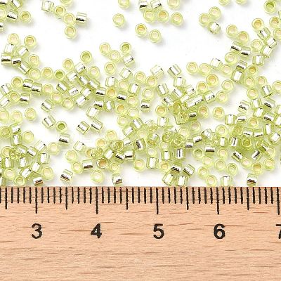 Glass Seed Beads X-SEED-S042-04B-24-1