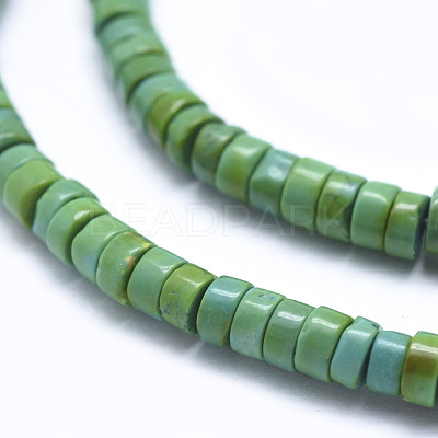Natural Magnesite Beads Strands TURQ-G148-20-4mm-1