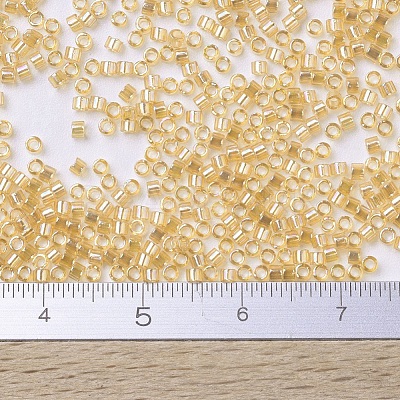MIYUKI Delica Beads X-SEED-J020-DB0100-1