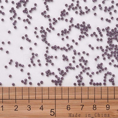 12/0 FGB Grade A Round Glass Seed Beads SEED-N001-A-1048-1