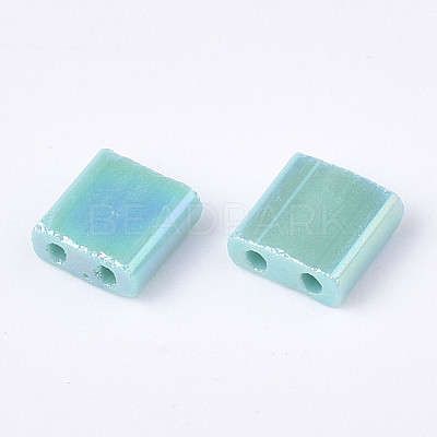 2-Hole Glass Seed Beads SEED-S023-19C-01-1