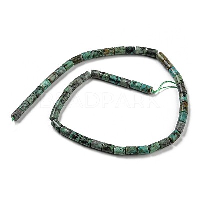 Natural African Turquoise(Jasper) Beads Strands G-Q1008-A09-1
