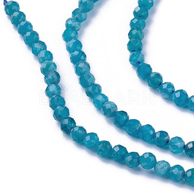 Natural Apatite Beads Strands G-F619-13B-2mm-1