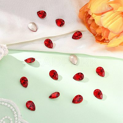 Preciosa® MAXIMA Crystal Fancy Stones Y-PRC-FE14-90070-1