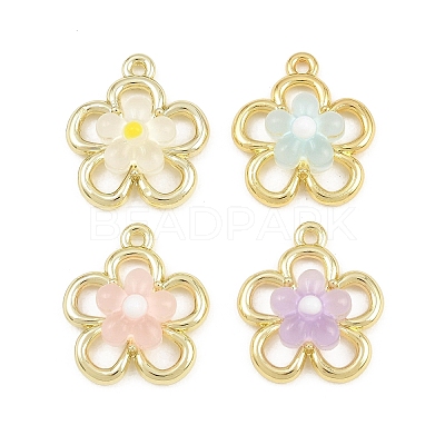 Alloy & Resin Pendants RE-CBA1FD3-13G-1