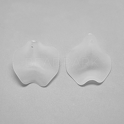 Transparent Acrylic Pendants S-FACR-S031-SB518-1