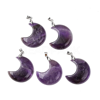 Natural Amethyst Pendants G-Z022-04C-01-1