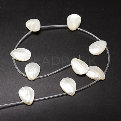 Natural Trochid Shell/Trochus Shell Beads Strands X-SSHEL-K009-12-1