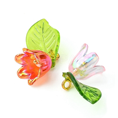 10Pcs 5 Colors Acrylic & Plastic Pendants OACR-YW0001-63-1