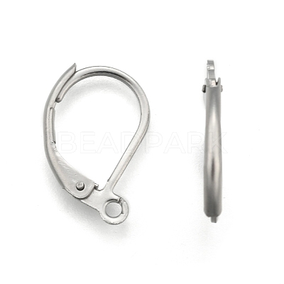 Tarnish Resistant Stainless Steel Color Tone 304 Stainless Steel Leverback Earring Findings X-STAS-E007-3-1