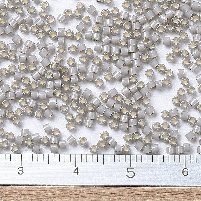MIYUKI Delica Beads X-SEED-J020-DB1456-1