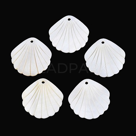 Carved Natural Freshwater Shell Pendants SHEL-T020-62B-1