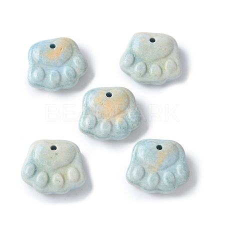 Natural Rainbow Alashan Agate Charms G-G194-01F-1